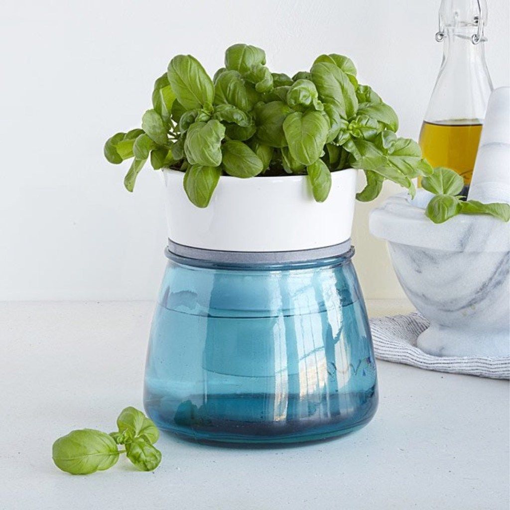 бело-голубая ваза с зеленью наверху
