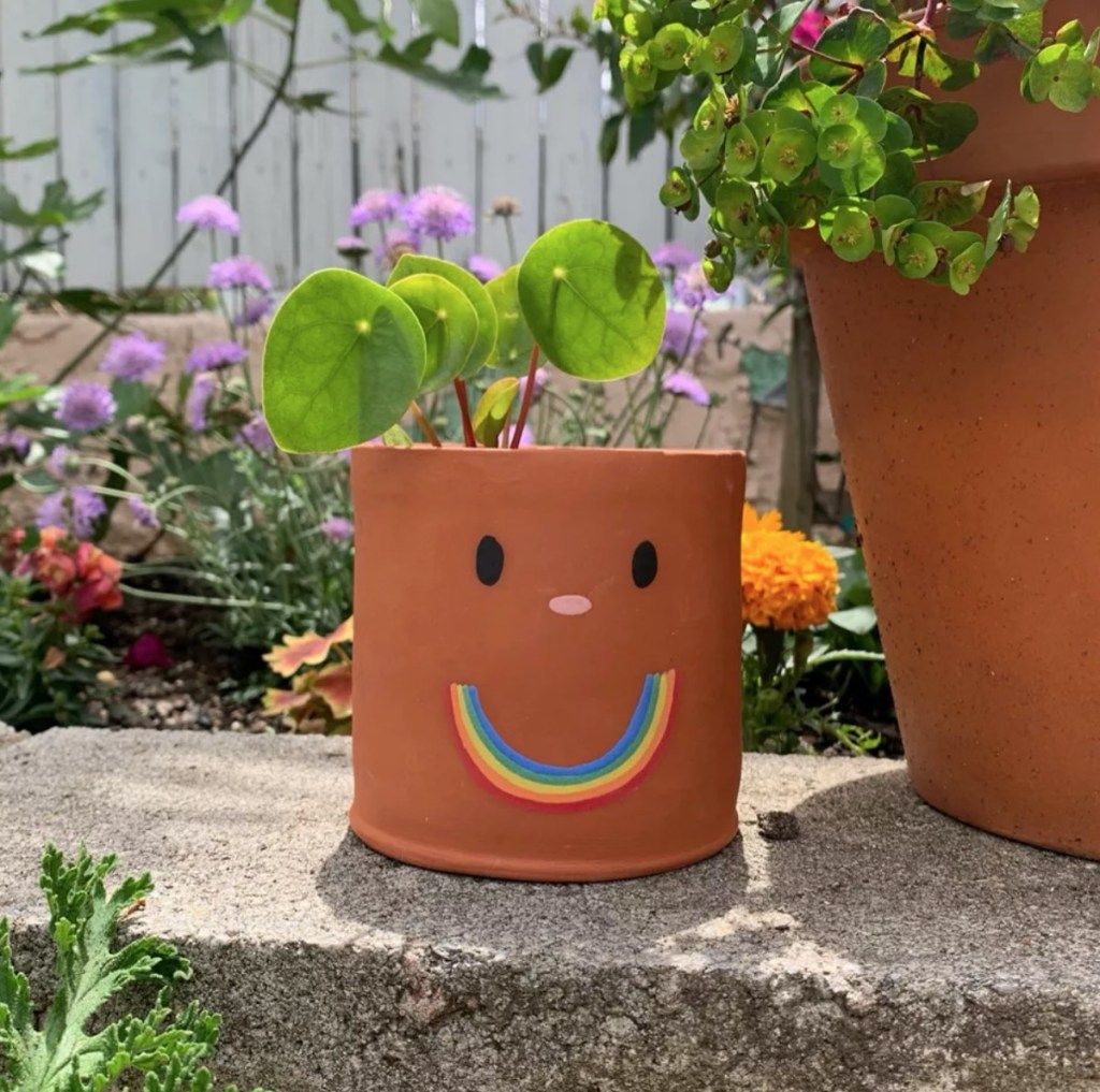 plantador de terracota com rosto sorridente de arco-íris
