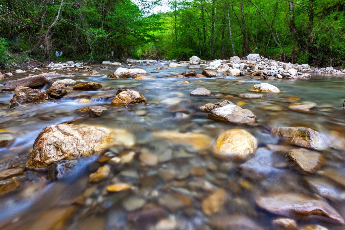 Прозрачна студена вода на планинска река тече между живописни летни камъни на фона на зелени дървета отблизо. (Прозрачна студена вода на планинска река тече между живописни летни камъни на фона на зелени дървета cl