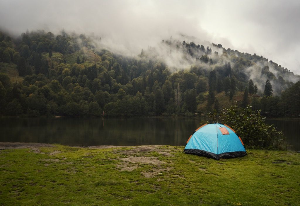 אוהל קמפינג ביער עץ אורן ליד האגם ליד ארטווין, טורקיה
