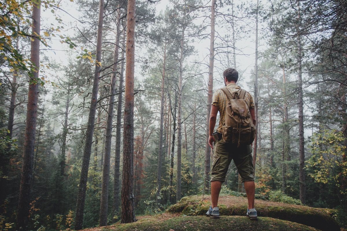 pria yang melakukan backpacking melalui hutan sendirian