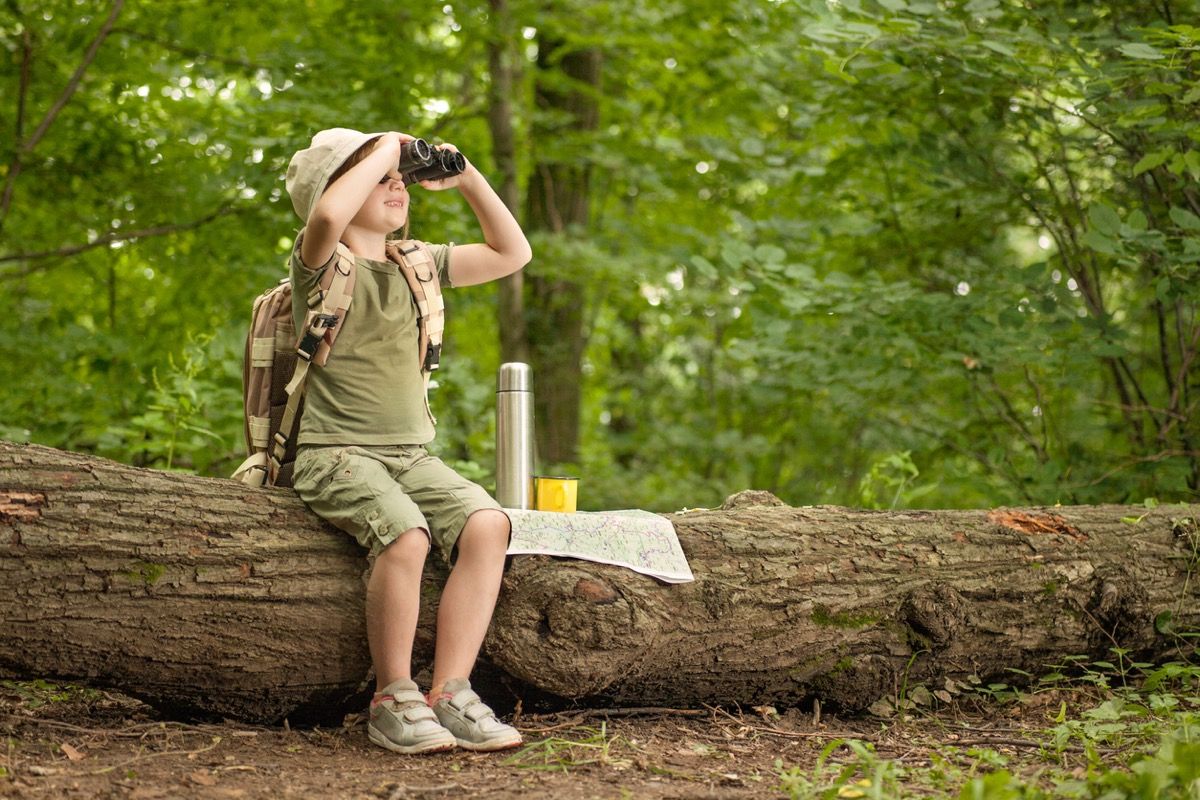 فتاة صغيرة متحمسة في رحلة تخييم في الغابة الخضراء