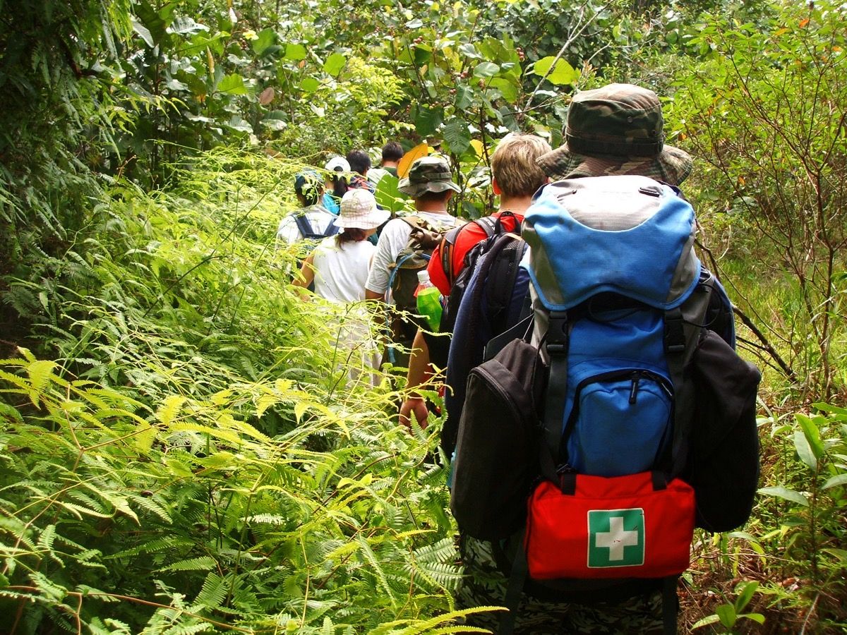 Trekking en grupo por el bosque con botiquines de primeros auxilios