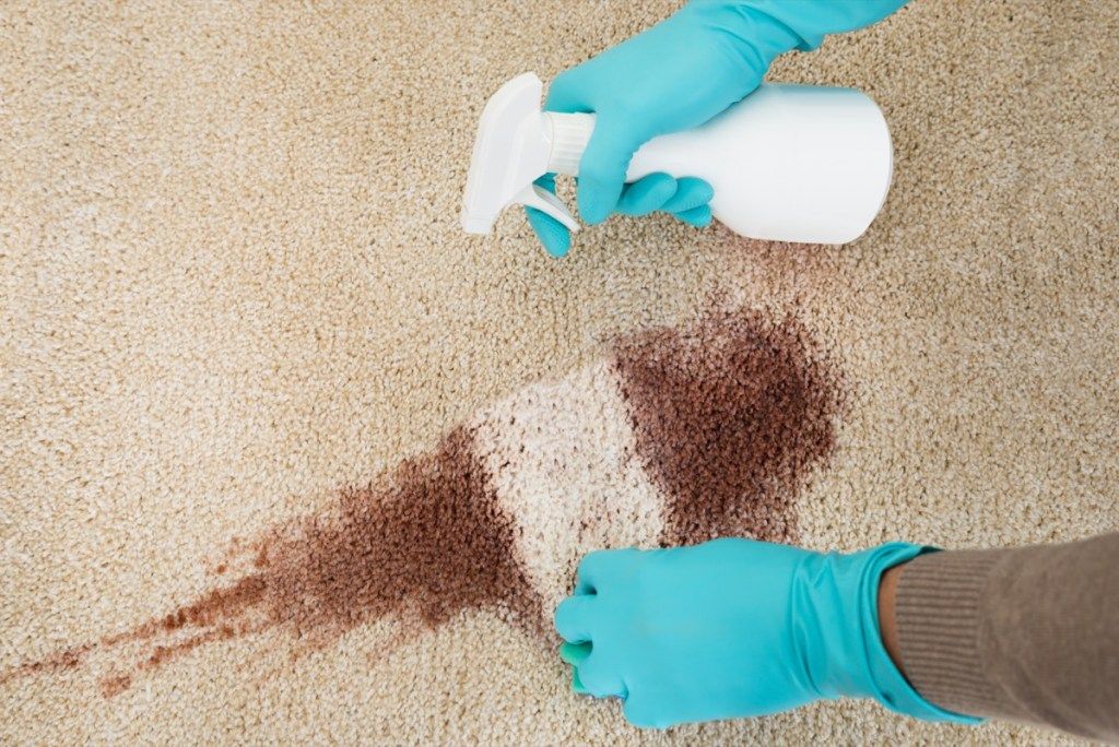 tīrīšanas paklājs