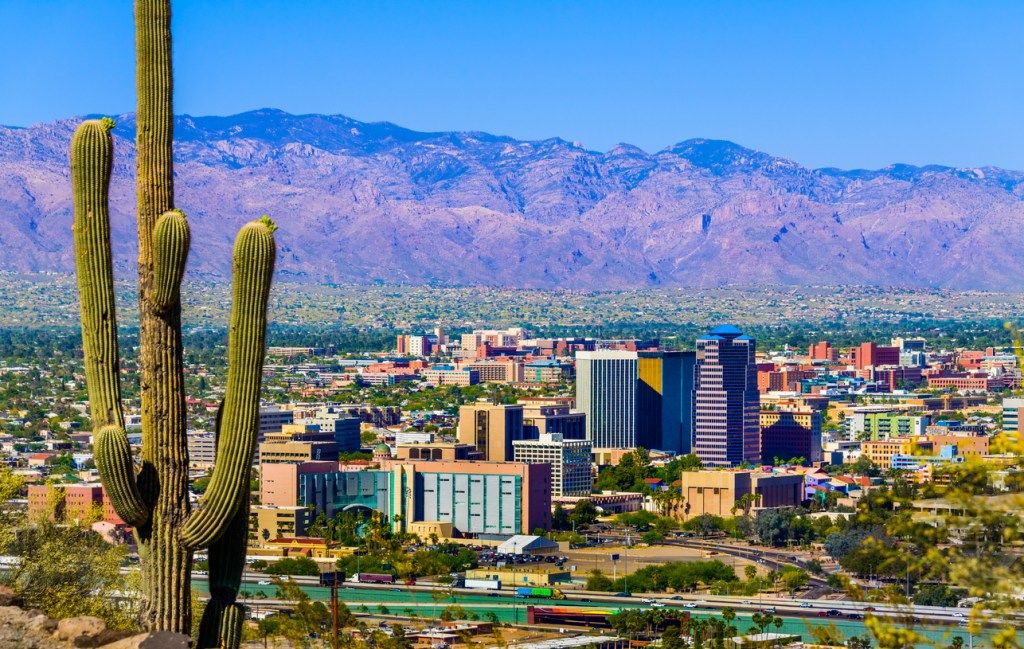 Nebesno obzorje Tucsona v Arizoni s kaktusi v ospredju