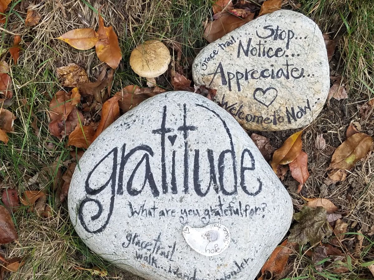 Rocas marcadas con mensajes de gratitud