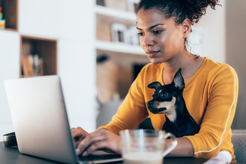   Млада афроамериканска жена седи с домашния си любимец чихуахуа и използва лаптоп у дома
