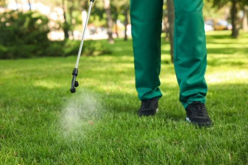   Darbuotojas purškia pesticidą ant žalios vejos lauke, iš arti. Kenkėjų kontrolė