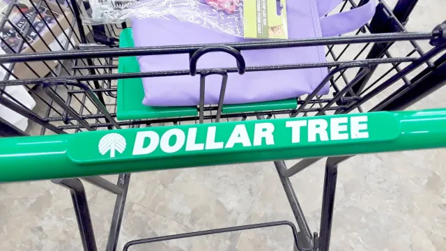 8 nyeste 'must-have' dollartræ-genstande, shoppingekspert afslører