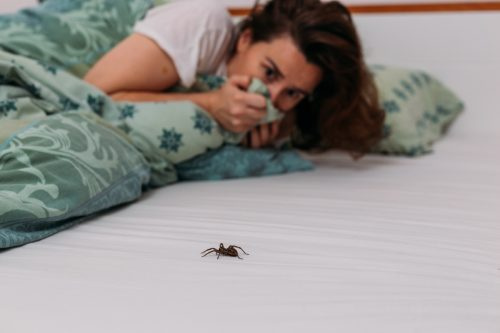   mujer asustada de araña en la cama