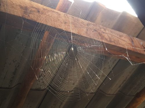   паяжина под покрива