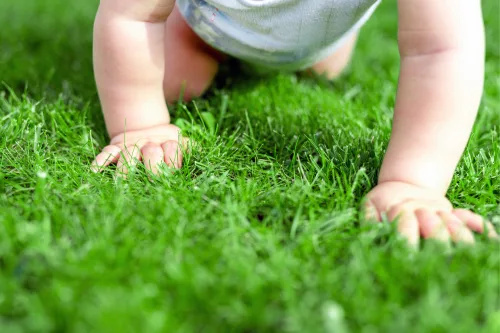   tuvplāns ar mazuļa zēnu, kas rāpo pa zāli