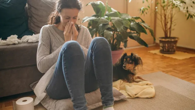 Une nouvelle étude « importante » montre comment vous rendez votre chien malade
