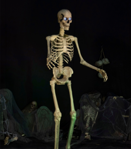   esqueleto de ocho pies mejor compra