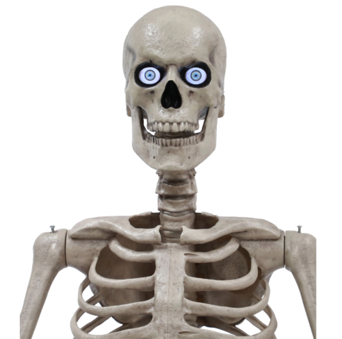   mejor comprar esqueleto