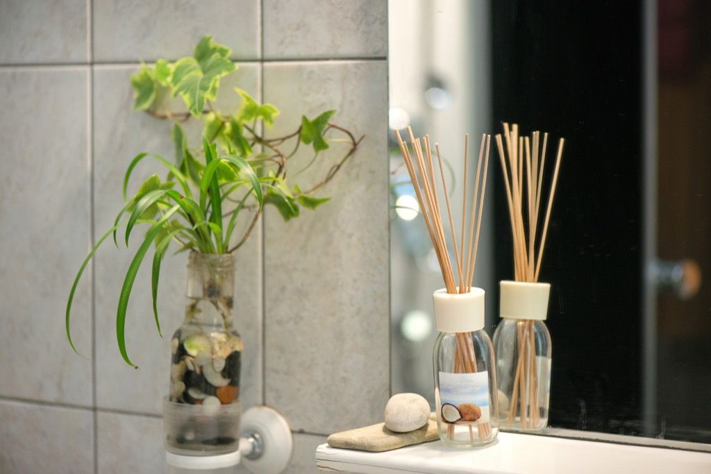kopalniško zelenje 20 neverjetnih načinov za polepšanje doma