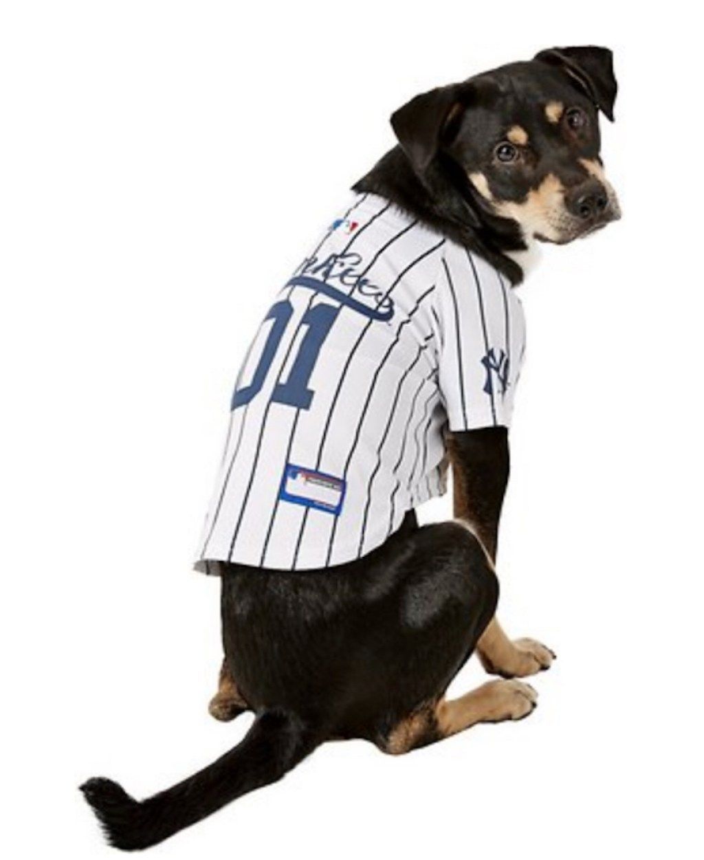 New York Yankees -koiran puku suloinen koiran asu