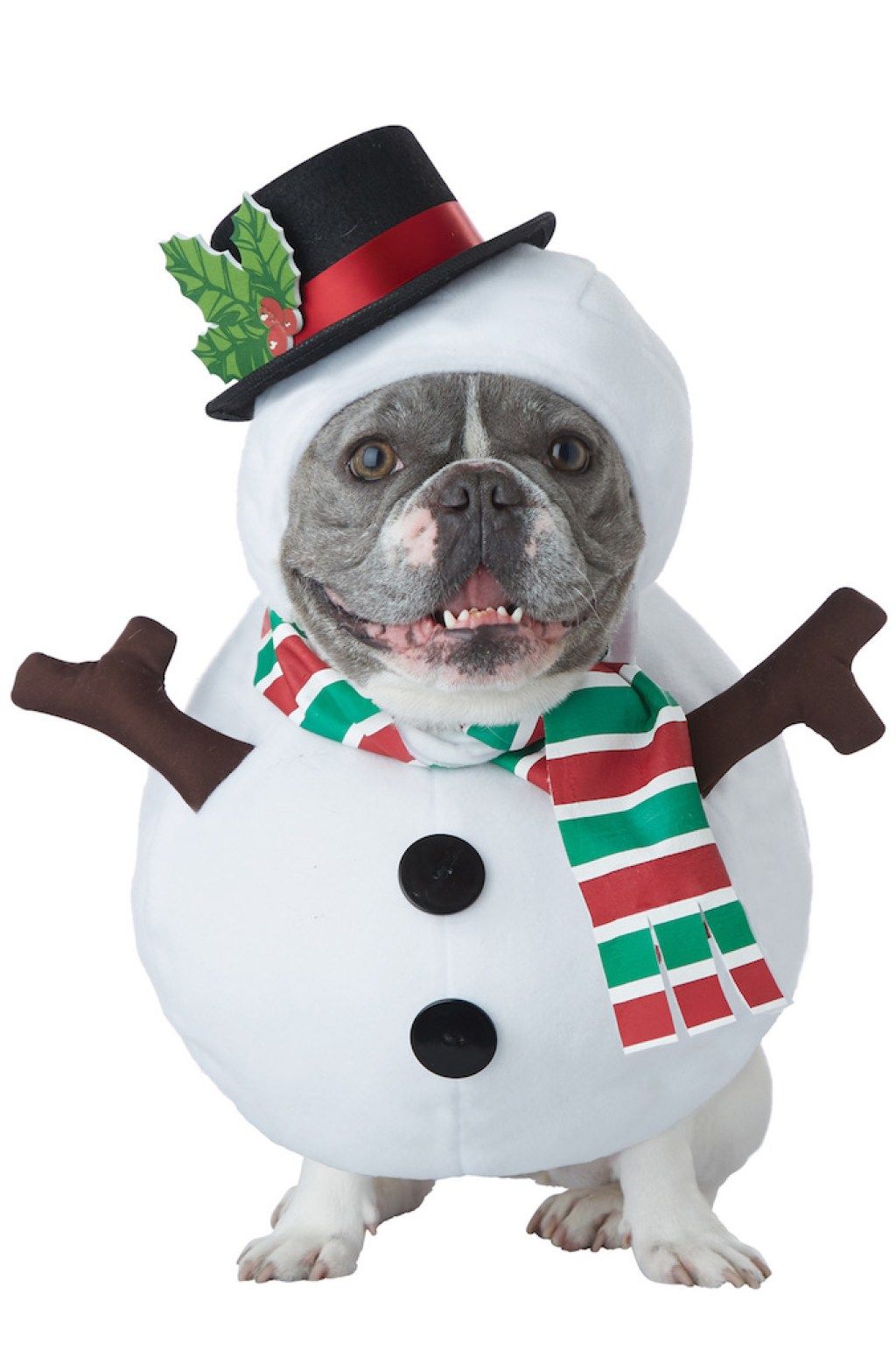 Talvinen lumiukko koiran puku suloinen koiran asu