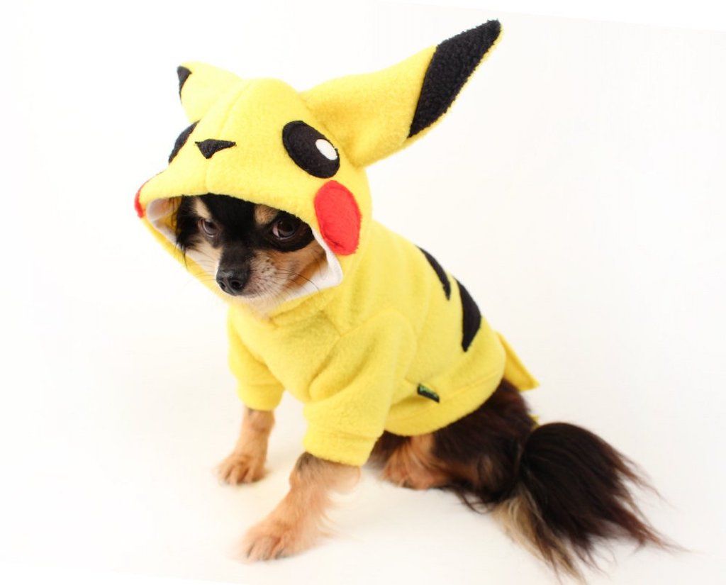 Pikachu šuns kostiumo žavingi šunų drabužiai