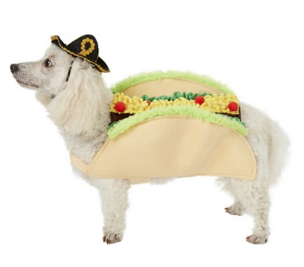 „Taco“ šunų kostiumo žavingi šunų drabužiai