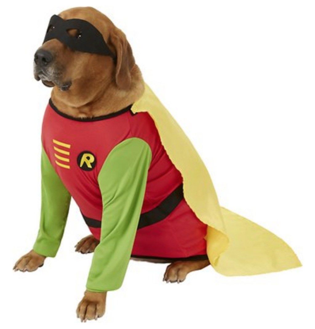Robin Dog Costume suloiset koiran asut