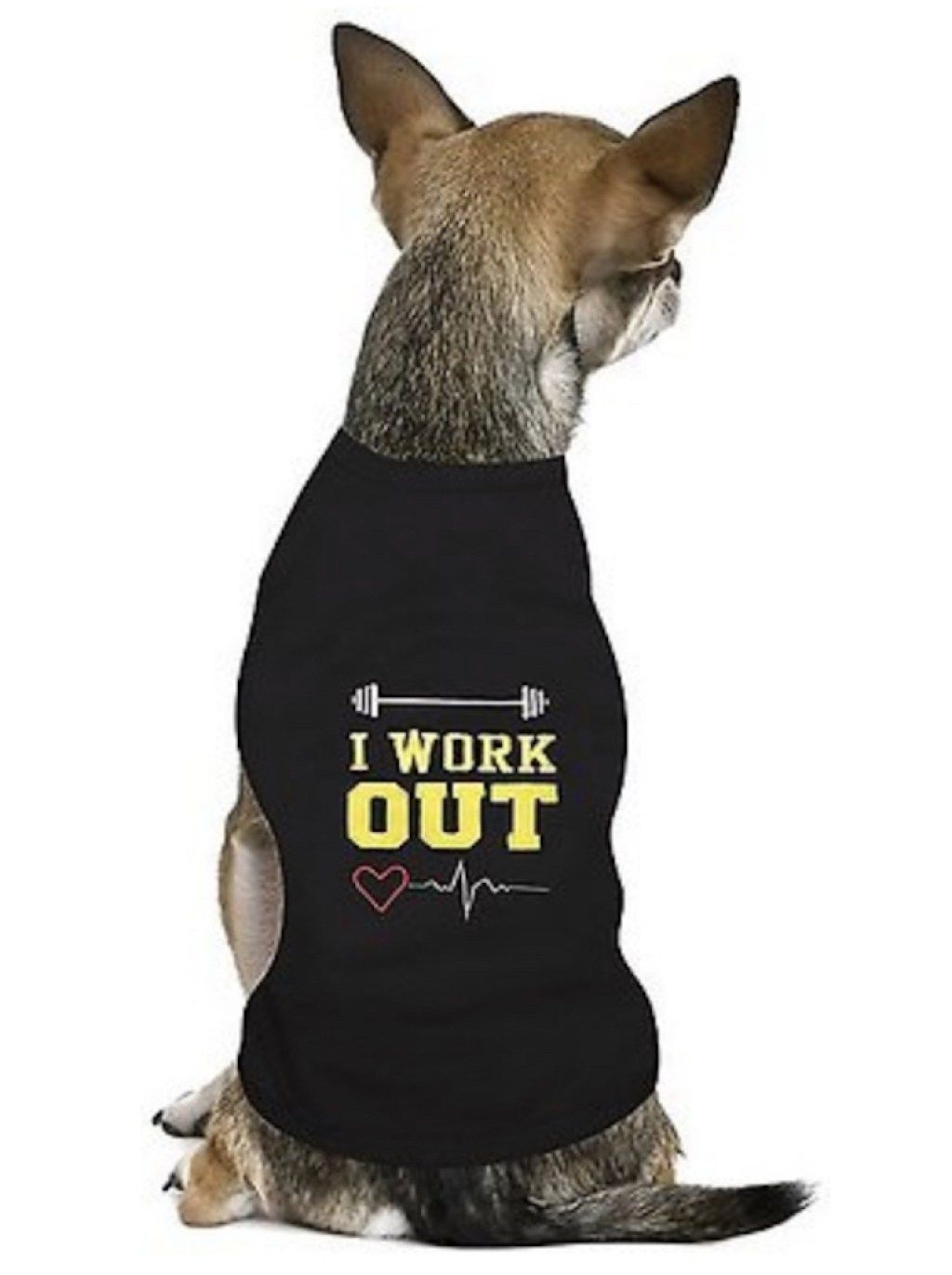 „I Work Out Tee“ žavios šunų aprangos