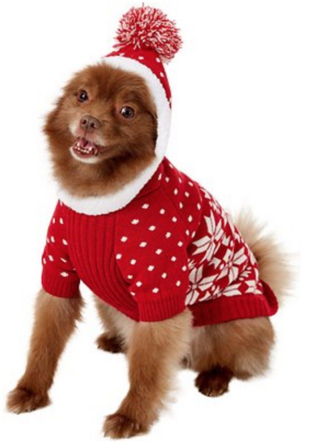 Blueberry Snowflake Dog Sweater ihastuttavat koiran asut