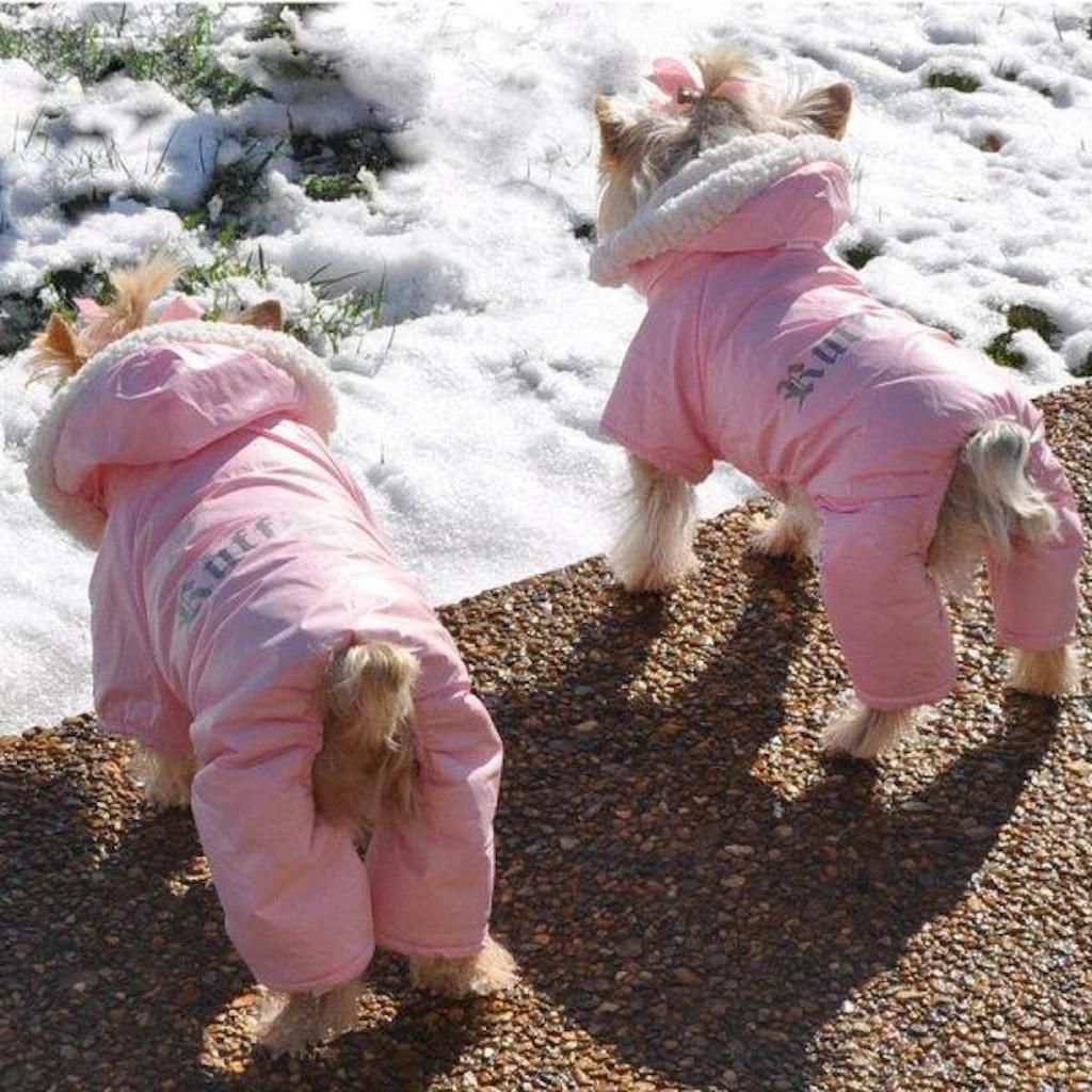 „Ruffin It“ šuns sniego kostiumas žavinga šunų apranga