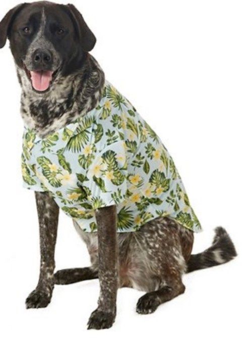 Havaijilainen koiran paita