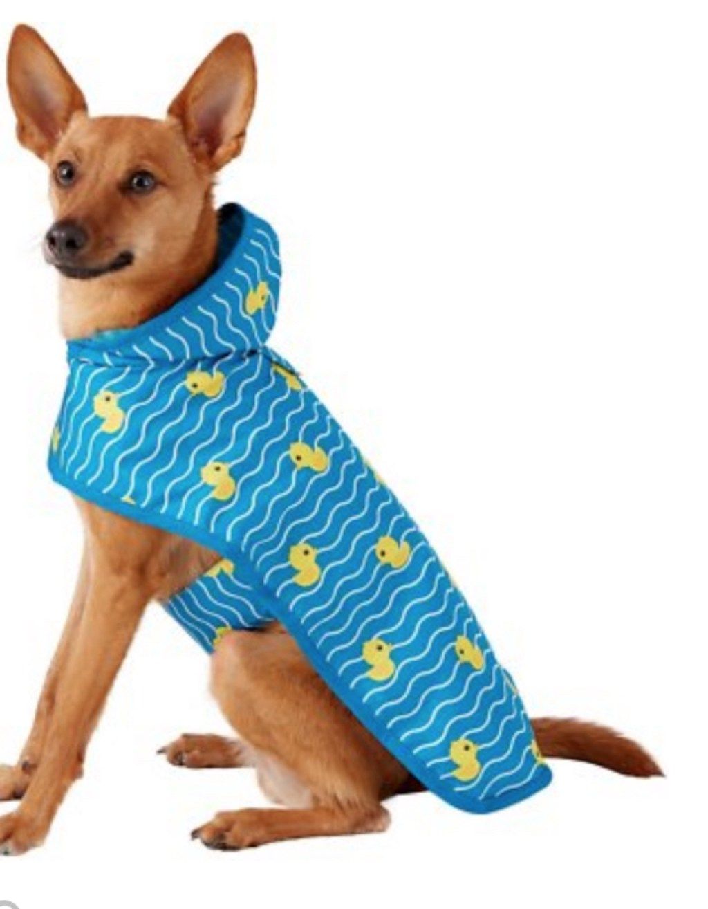 „Frisco Rubber Duckie Raincoat“ žavūs šunų drabužiai