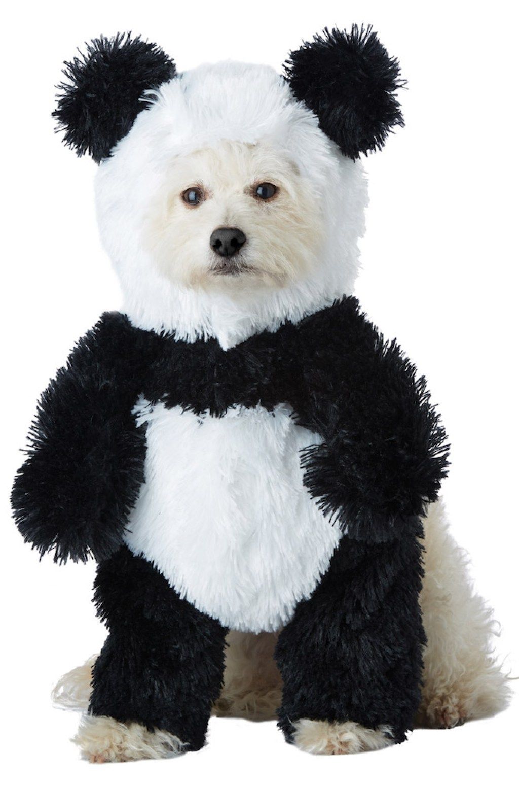 „Panda Dog“ kostiumo žavingi šunų drabužiai