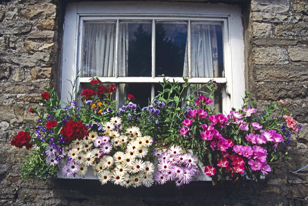 Кутии за прозорци, стимулиращи вашия дом