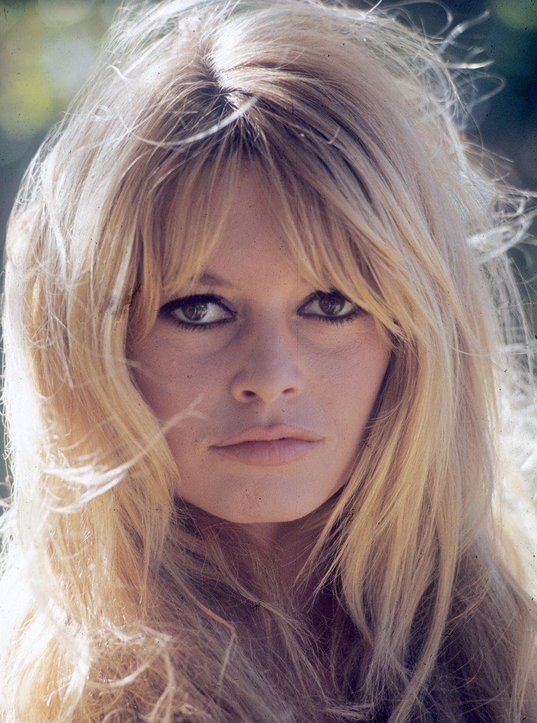 Brigitte Bardot värivalokuva