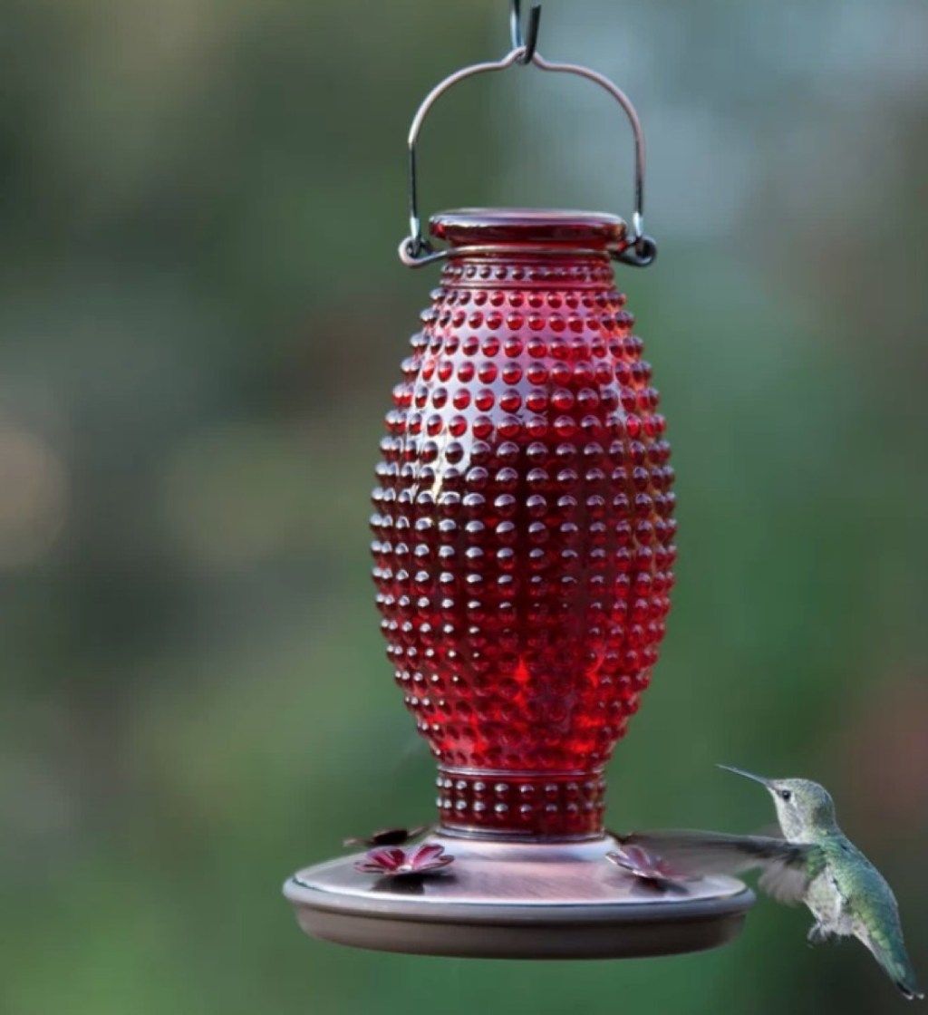 comedero de colibrí de botella roja, el verano compra menos de $ 100