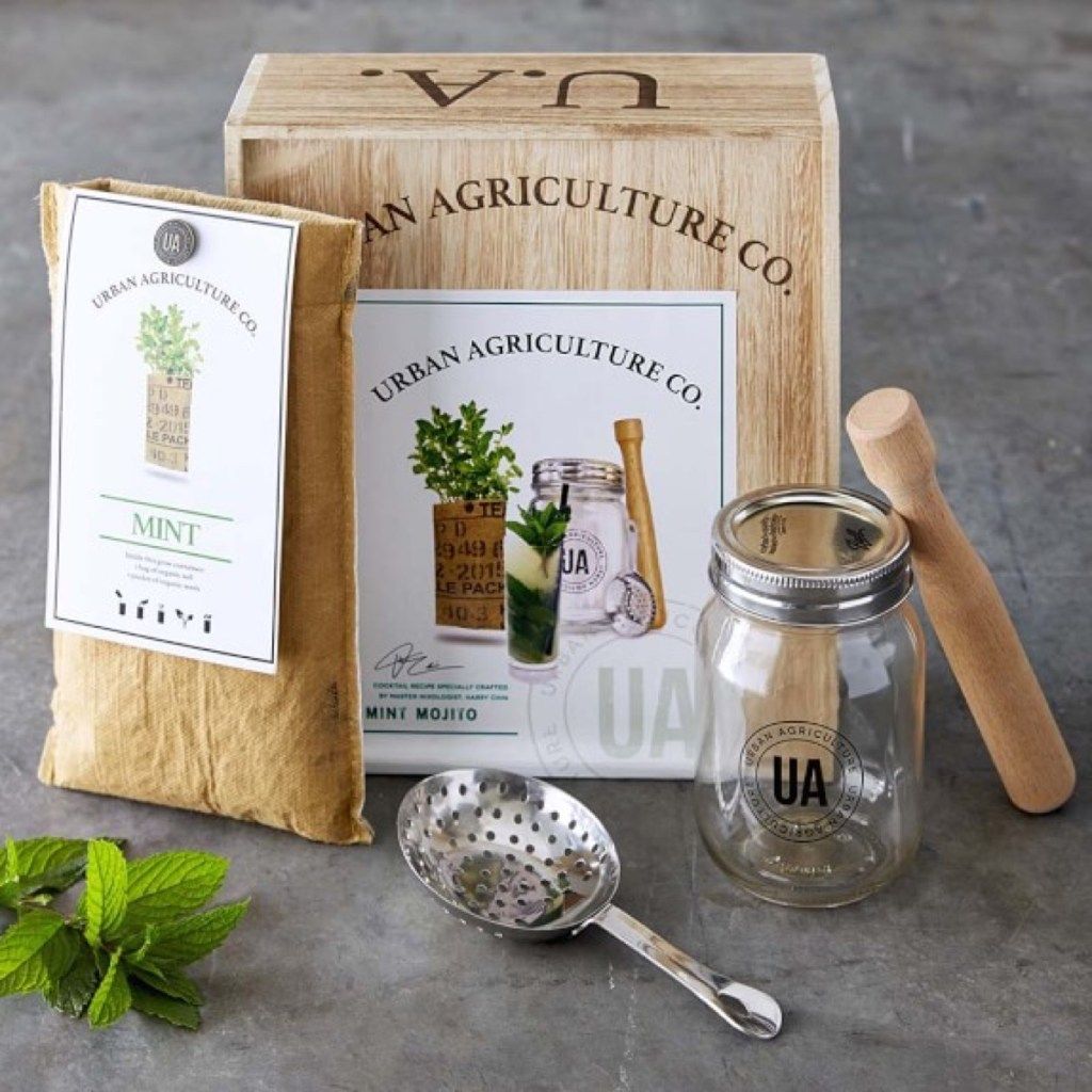 cultiva tu propio kit de cóctel mojito de williams sonoma
