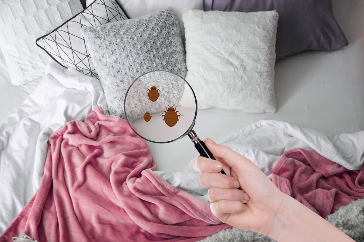 wanita menggunakan kaca pembesar untuk pepijat di tempat tidurnya