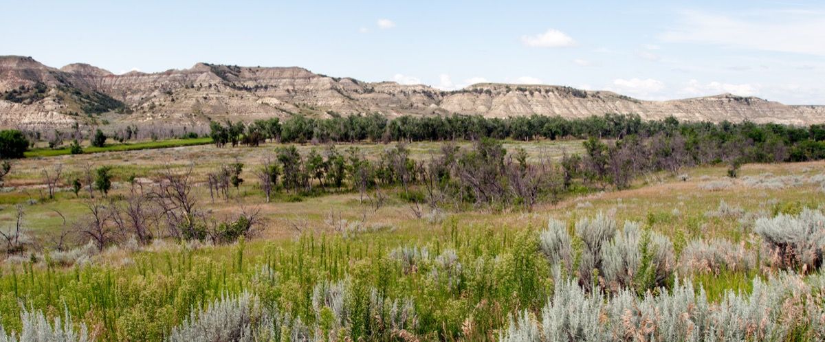 зелена площ с дървета и храсти седят сред планини, констатира факт за Северна Дакота