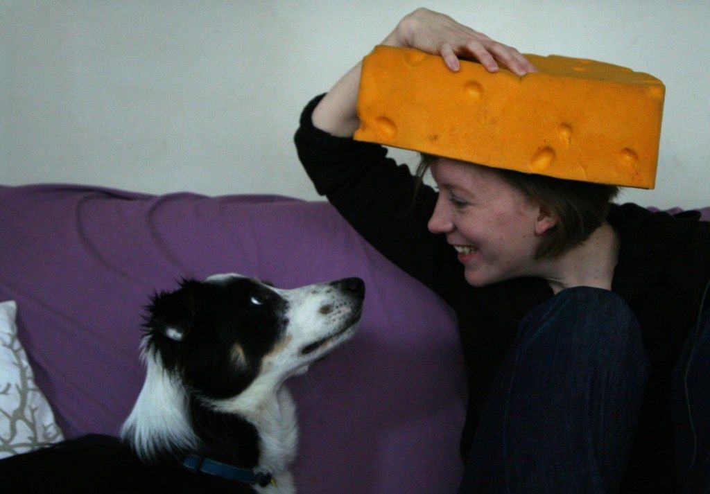 犬が彼女を見つめている間、チーズウェッジ帽子をかぶった女性がソファに座っている、ウィスコンシンについての事実を述べる