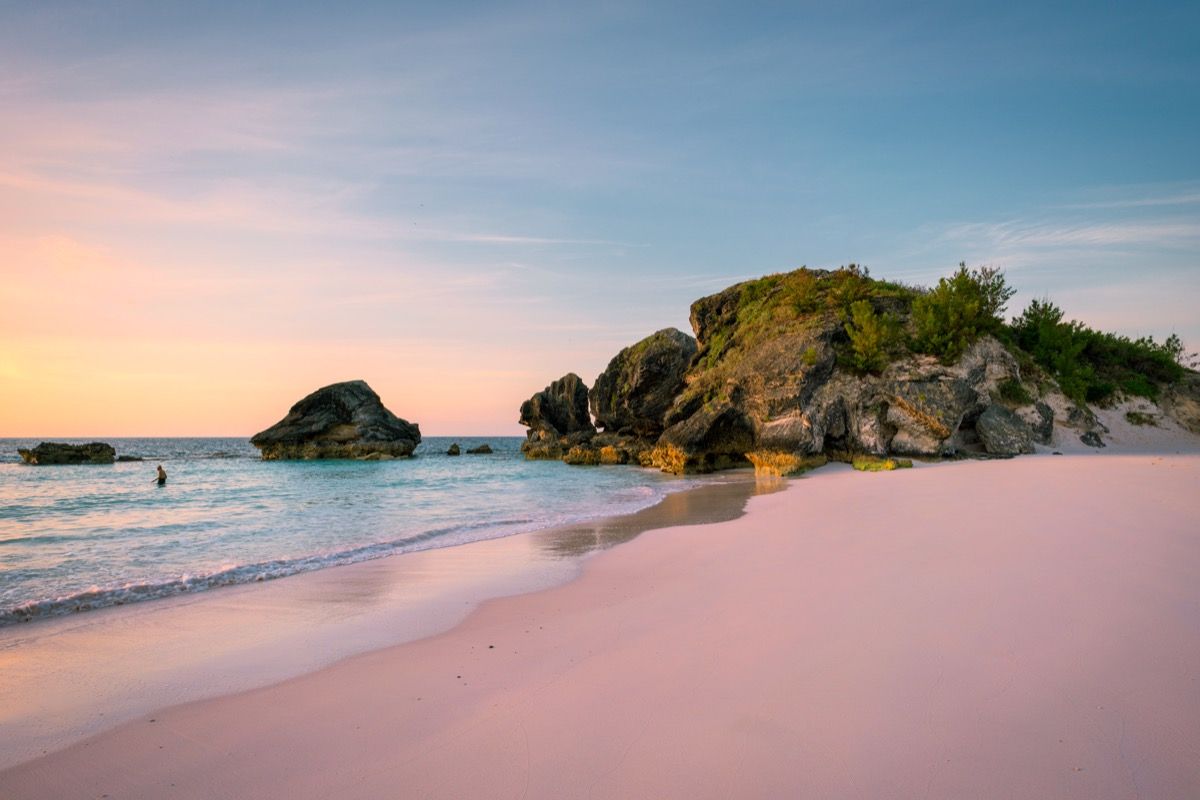 конска обувка залив розов пясъчен плаж в Бермудските острови