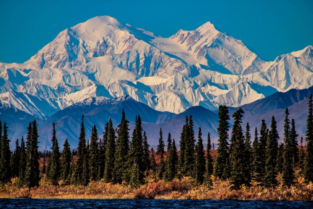 Denali nasjonalpark Alaska