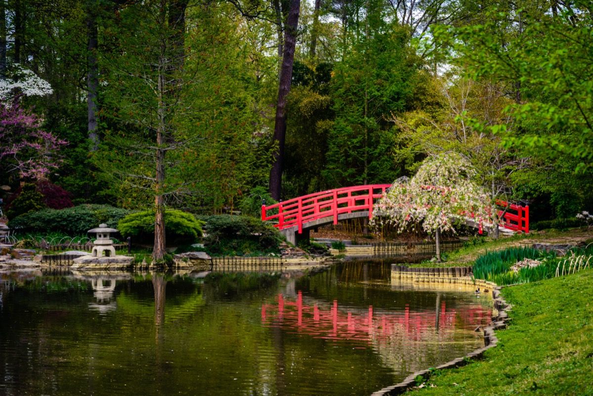 Uma ponte de concreto vermelho sobre um lago que leva aos Jardins Sarah P. na Duke University em Durham, Carolina do Norte