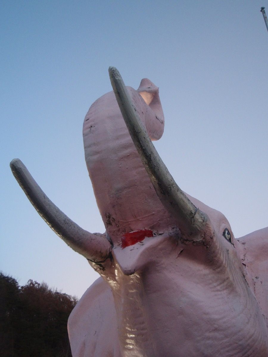 ružová socha slona v kentucky