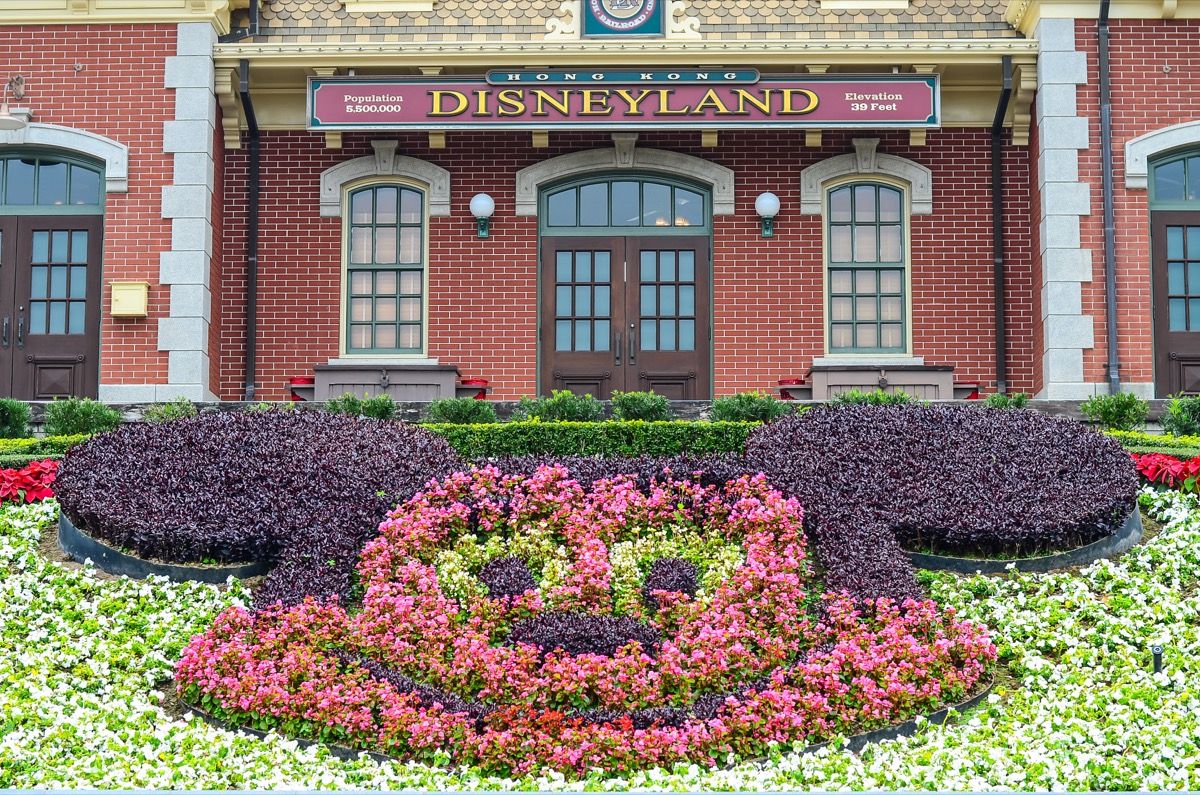 Jardín de Disneyland de Mickey Mouse