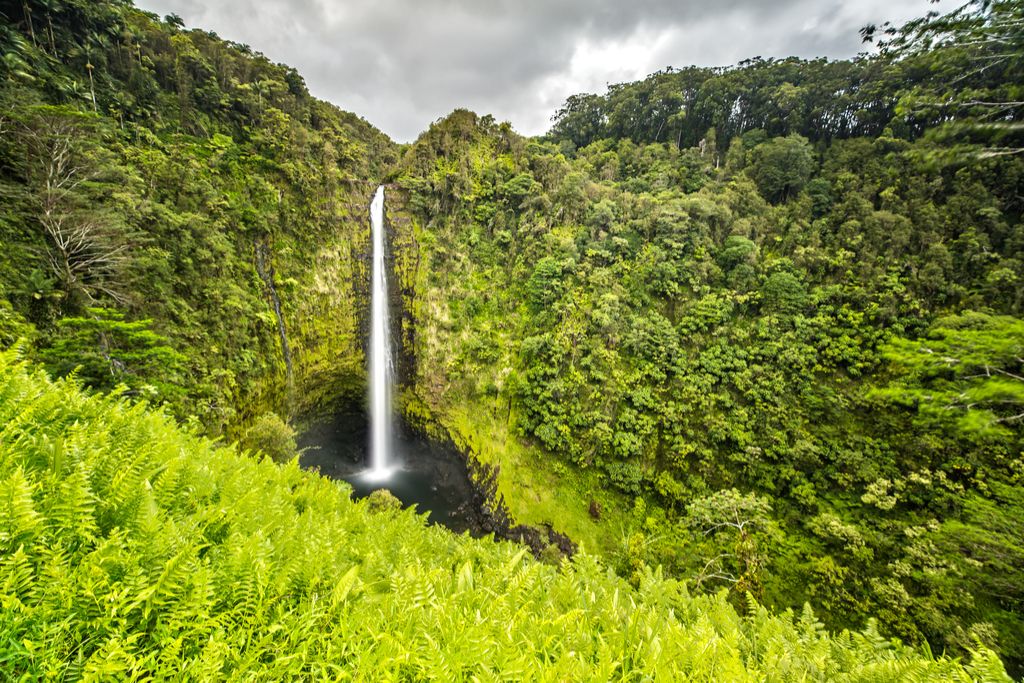 Akaka Fallsin Havaijin vesiputoukset