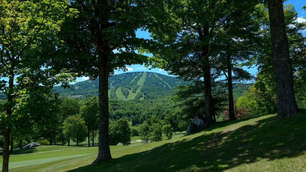 Árboles verdes y una pista de esquí cubierta de hierba en el verano en Vermont