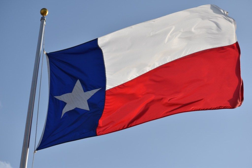 Teksasin lippu