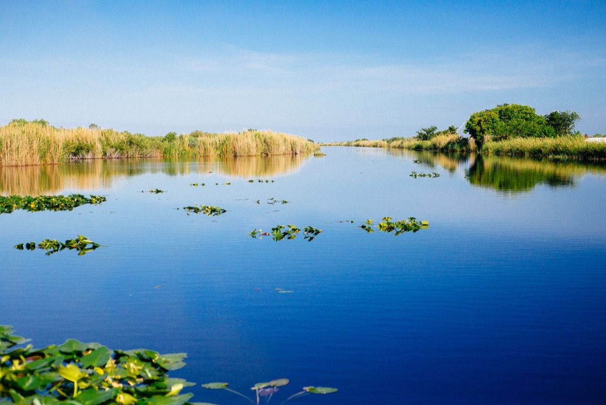 הפארק הלאומי Everglades פלורידה מציין פלאי טבע