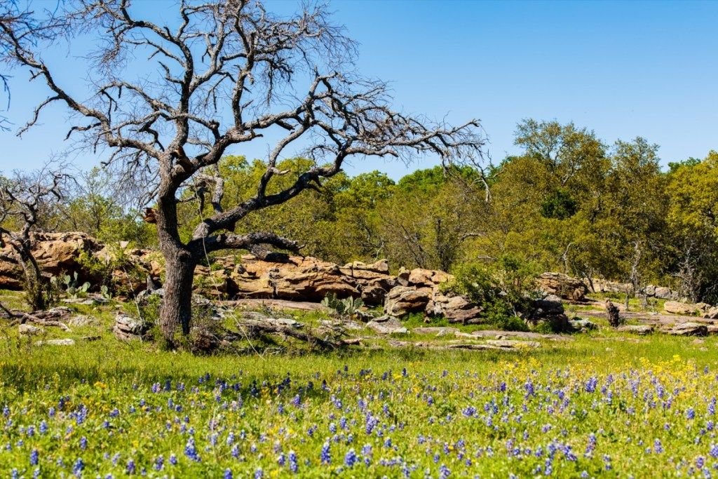 kopec květin, texas, nejrychleji rostoucí města