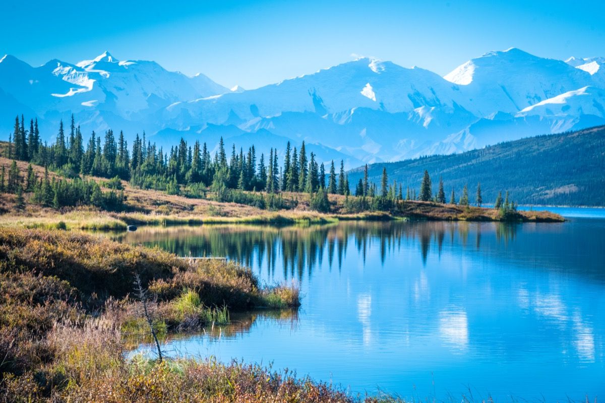 национален парк денали с планински фон Аляска