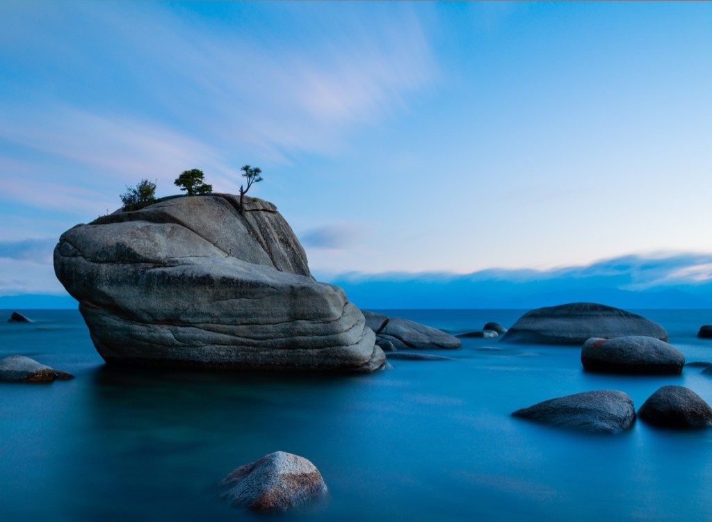 bonsai rock lake tahoe Nevada statliga naturliga underverk